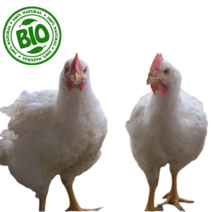 Poulet de Chair Bio